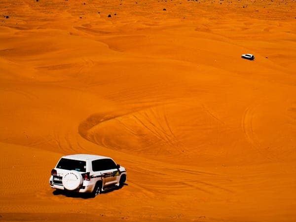 Dubai City & Desert Safari