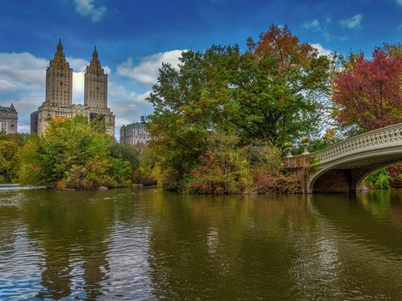 New York City Break